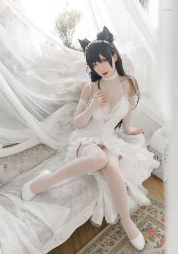 全网午夜毛片免费一级_4K高清完整版
